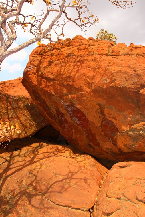 Tweedle Dee & Tweedle Dum