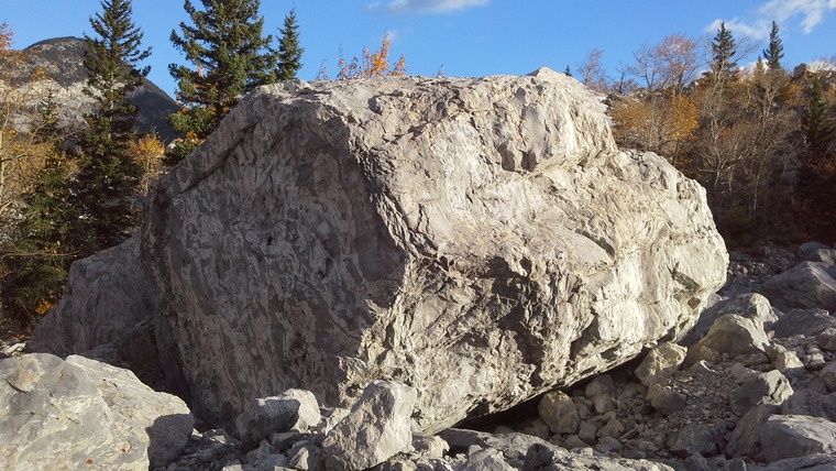 Sofa King & The Curse