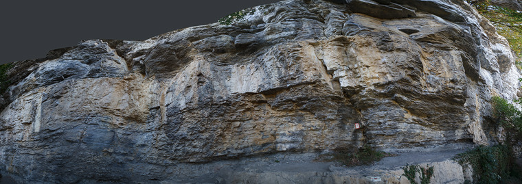 Schlangenkopf -4