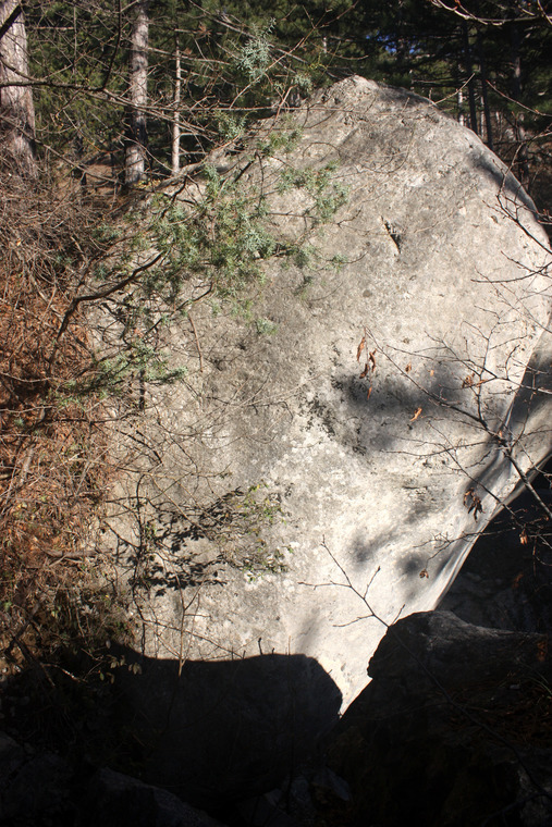 Белая Зависть