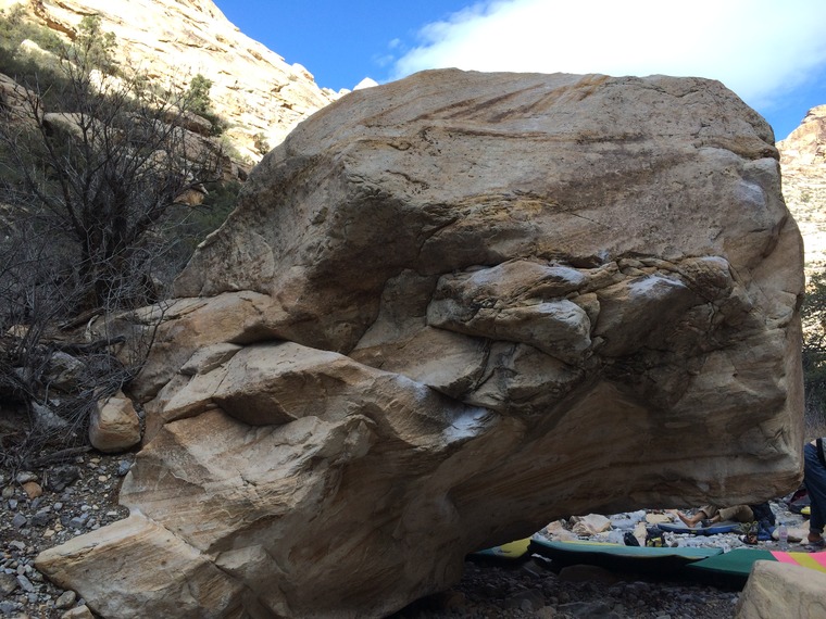 Ride the white horse