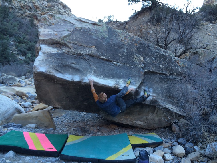 Ride the white horse