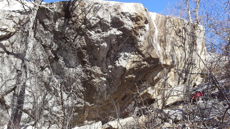 House, Cartel, and Galactic