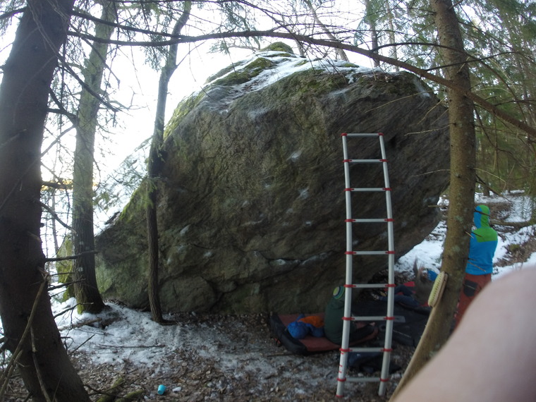 Den stora i skogskanten