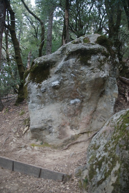 Graveyard/domino/egghead