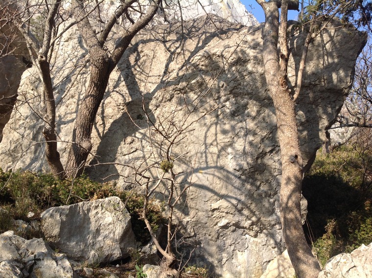 Кожаный Комбайн