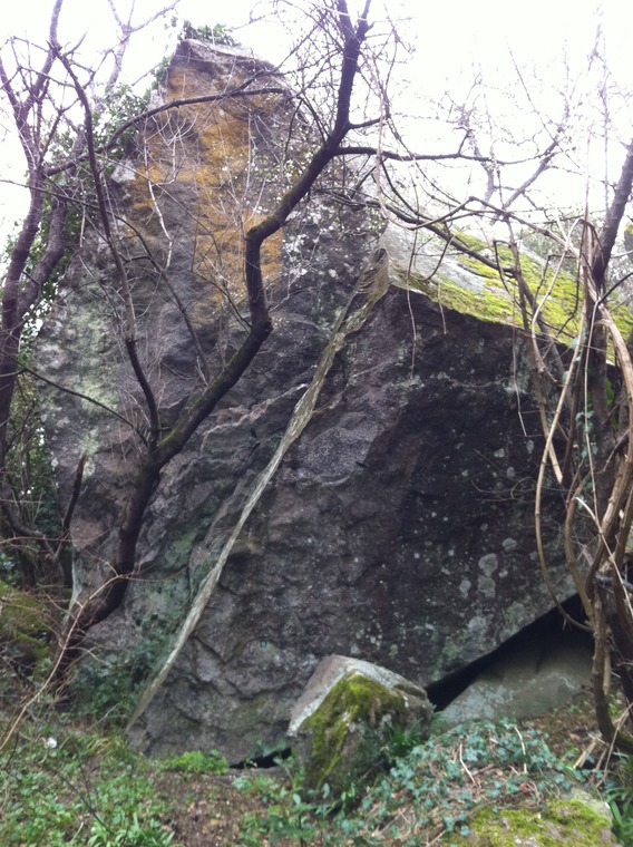 Кошерное ребрышко