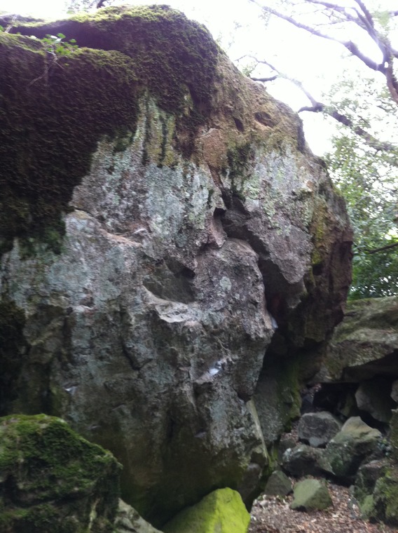 Широкая на широкую