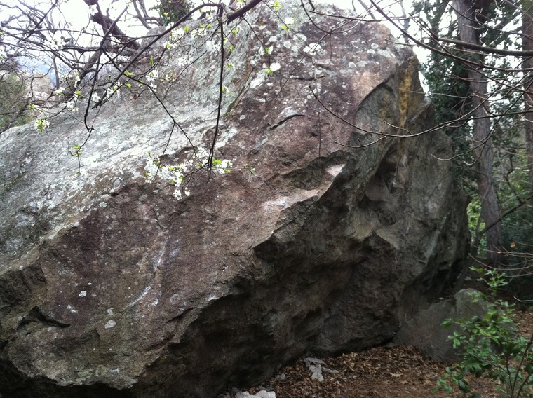 Boulder #11