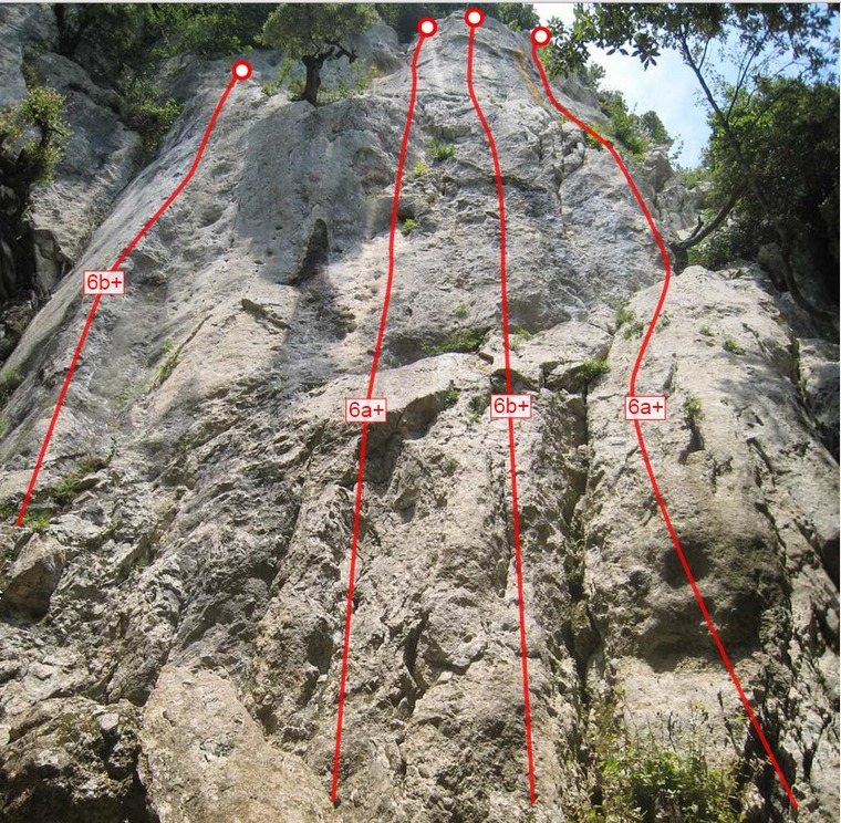 Isola di Greppolungo