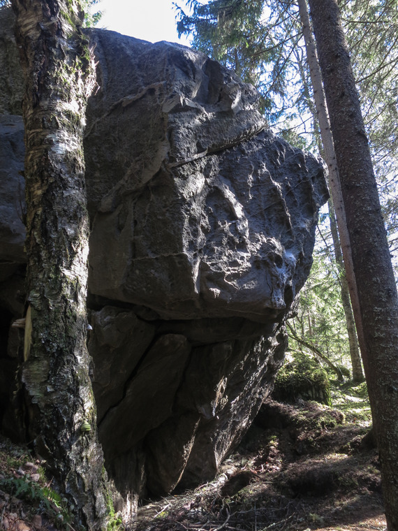 Gathering wilderness