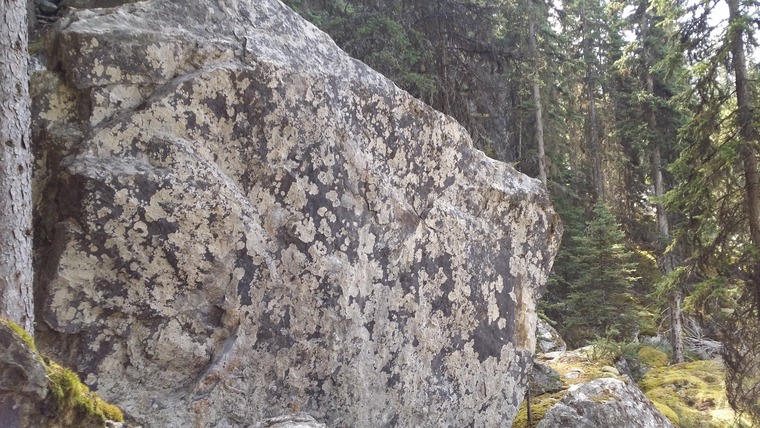 Cave Dweller Boulders