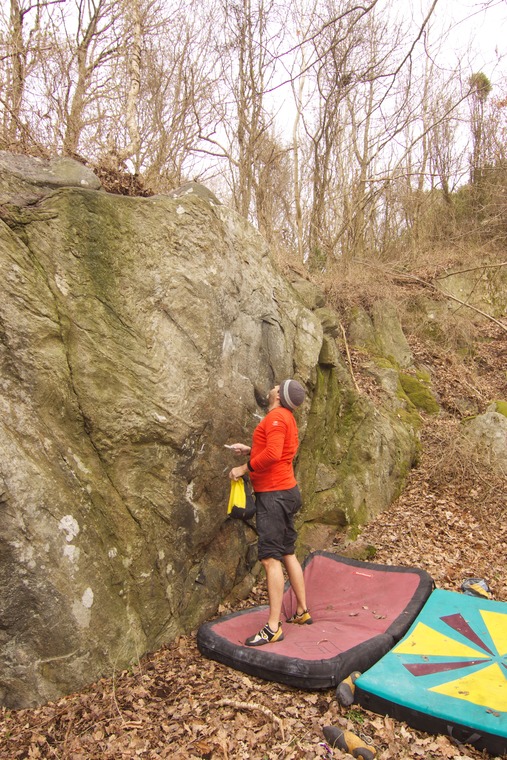 Fantasia by starlight