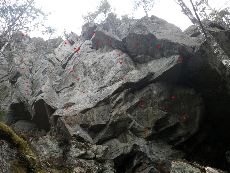 сектор Джунгли