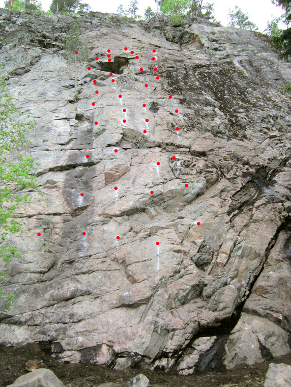 сектор Полтинник