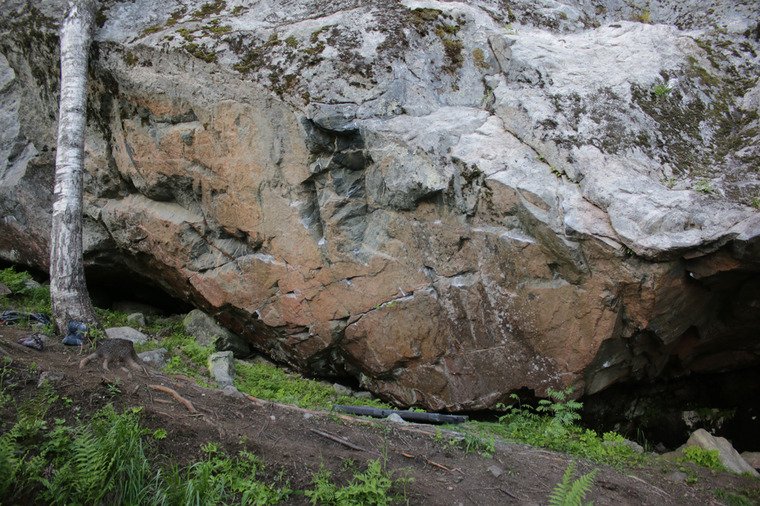 сектор Опера