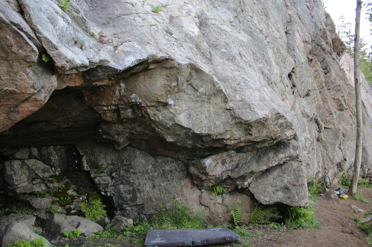 сектор Опера