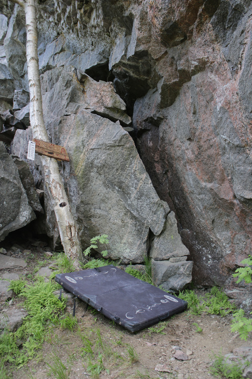 сектор Джунгли