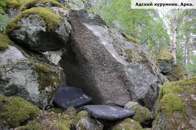 Адский курумник