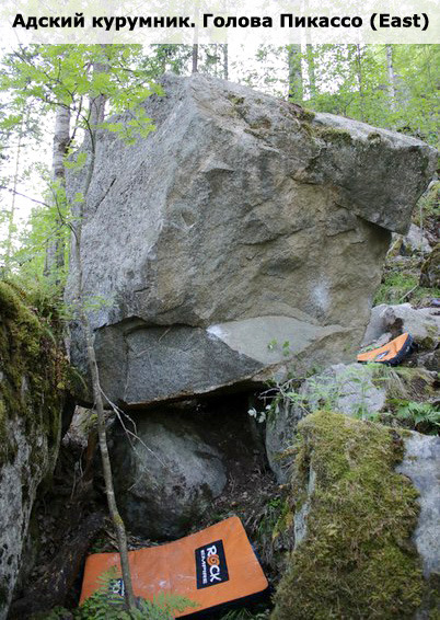 Адский курумник