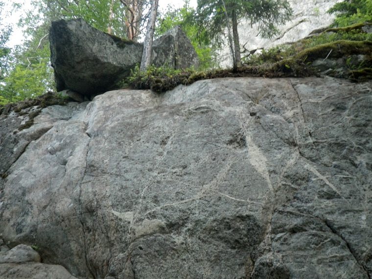 Стена Аллигатора