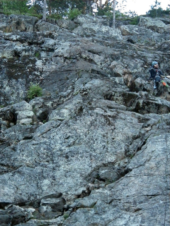 сектор Полтинник