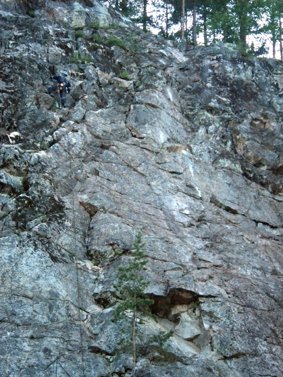 сектор Полтинник