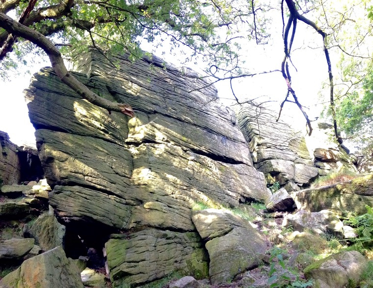 Mouse Wall Area (Tiger Wall)