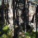50. North thumbnail