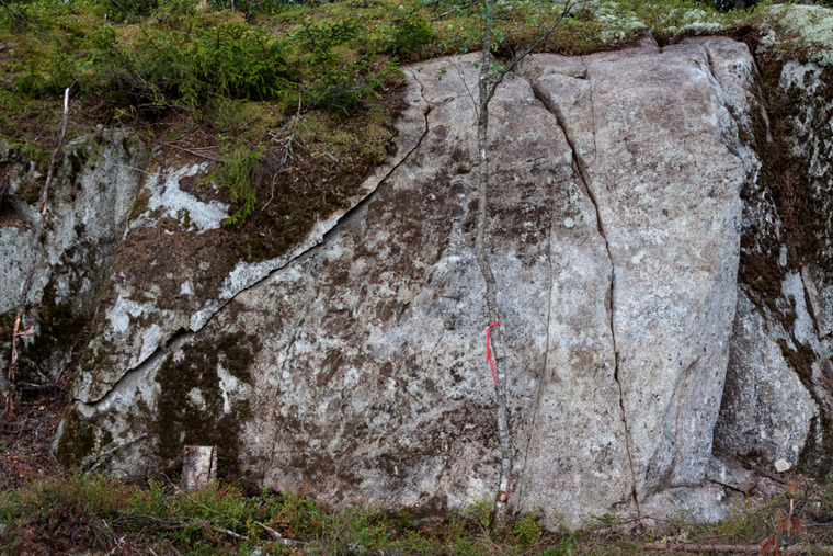 Sea cliffs in the woods
