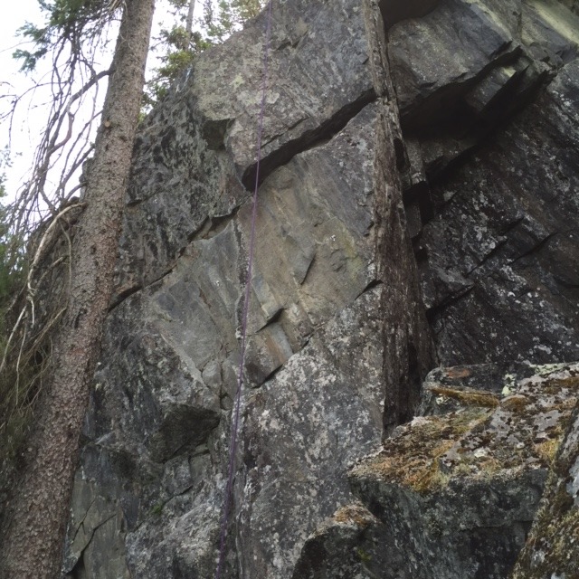 Ingen utväg-sektorn