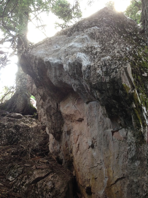 New Best Niagara Bloc