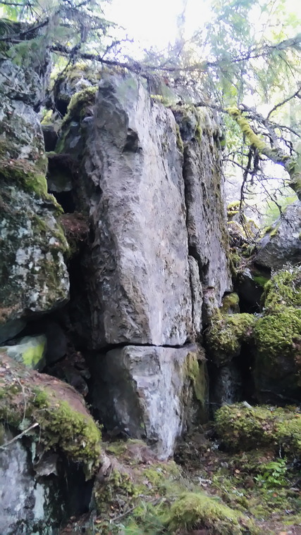 Gathering wilderness