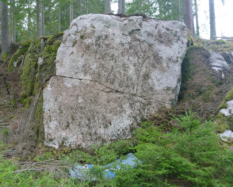 Förträngda problem