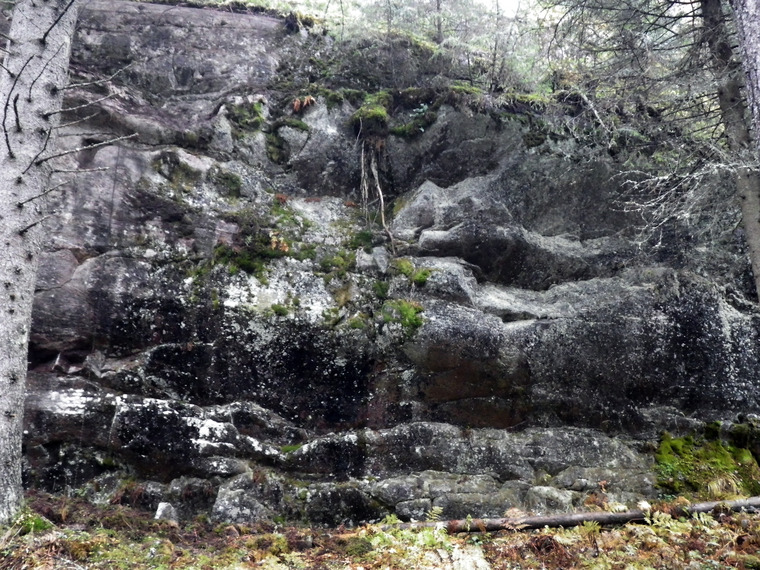 сектор Воспоминания