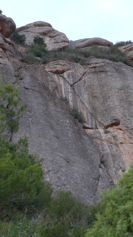 Vermell del Xincarró left