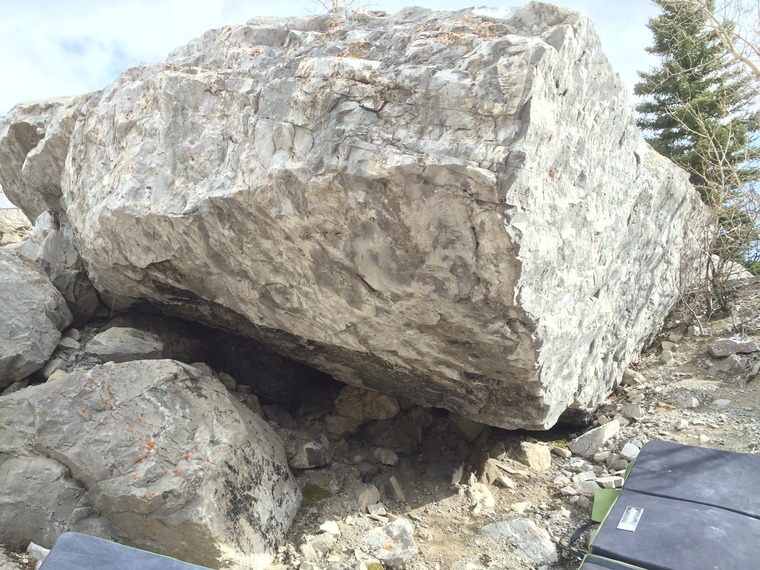 House, Cartel, and Galactic