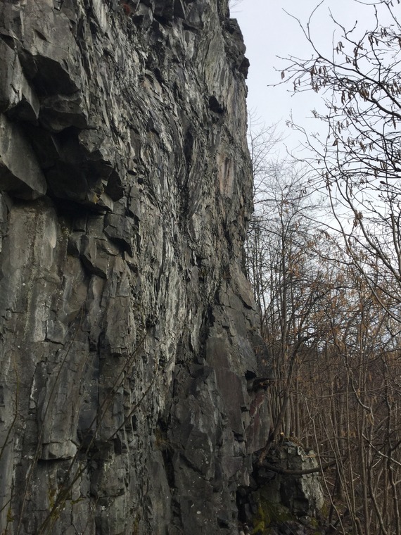 Sauejordet (Hovedveggen)