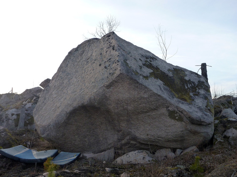 Alla drömmer samma dröm