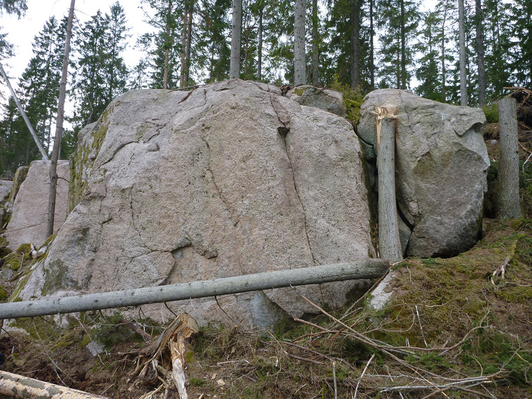 Förträngda problem