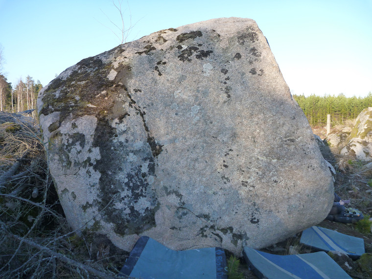 Alla drömmer samma dröm