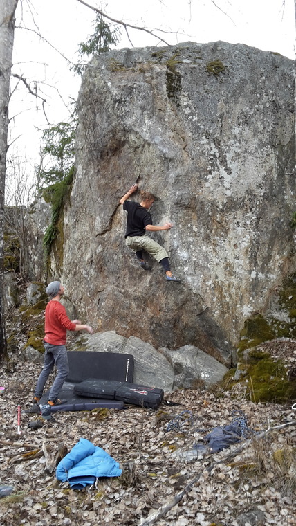 Williams arete