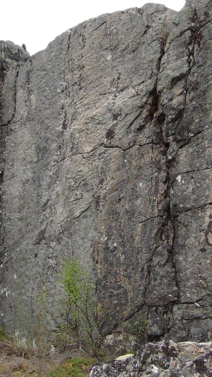 Fem millimeter for kort