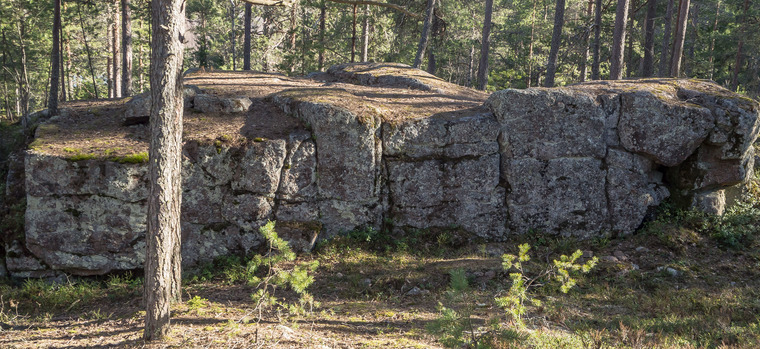 Maaseudun tulevaisuus 8