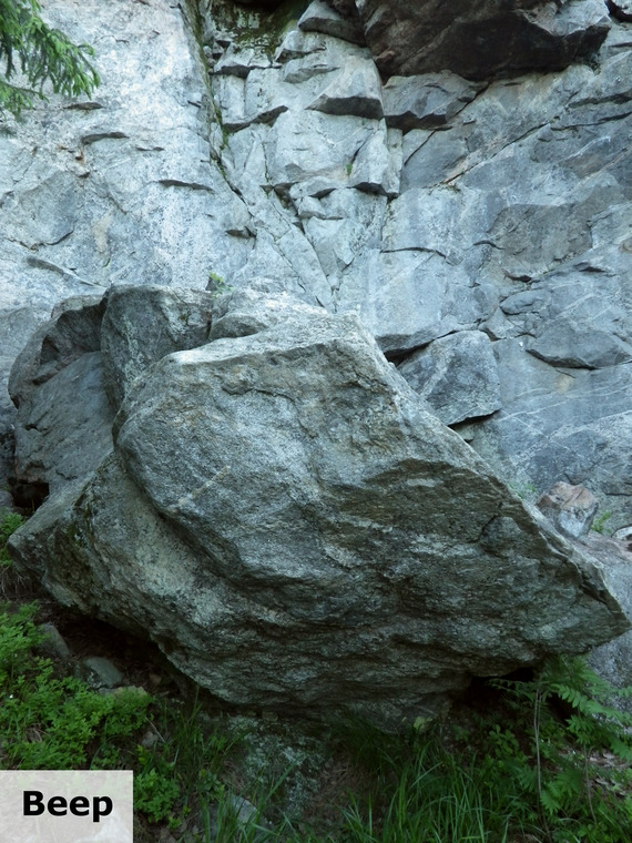 сектор Ладожская сказка