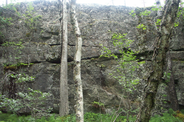 Sjöklippan (skogen)