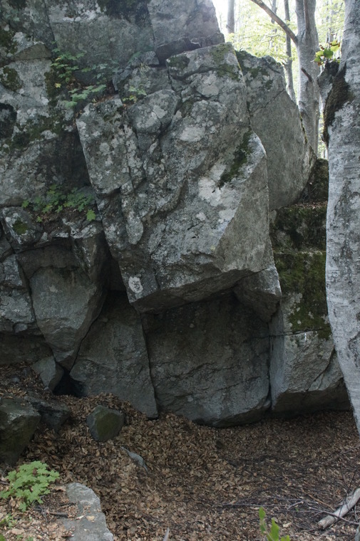 Sector B_Tsitman Block