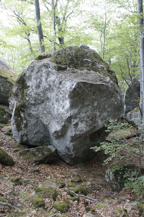 Sector B_Vatos Locos Boulder