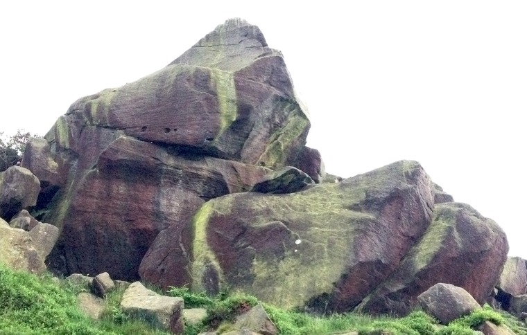 In a Pickle/Green Slab Area