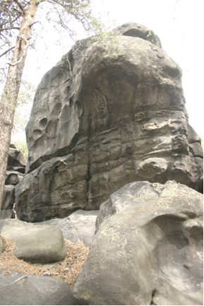 Сектор Электричка